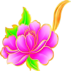 花牡丹美容美体器材店