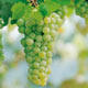 云海商贸有限公司的LOGO