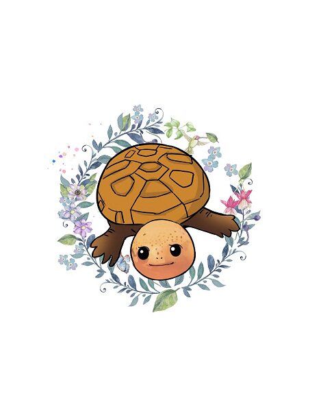 爬爬亚马逊流域