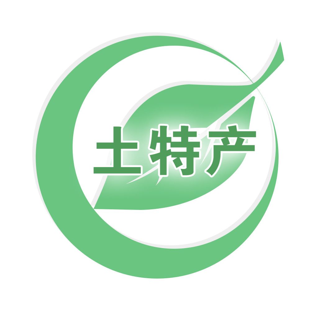 飞飞蚂蚁生活