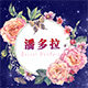 潘多拉629 美袜店的LOGO