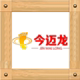 今迈龙旗舰店