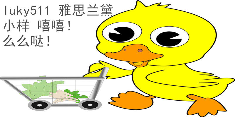 北京专柜雅诗兰黛正品