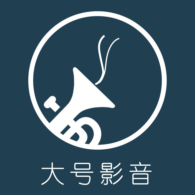 大号影音专营店