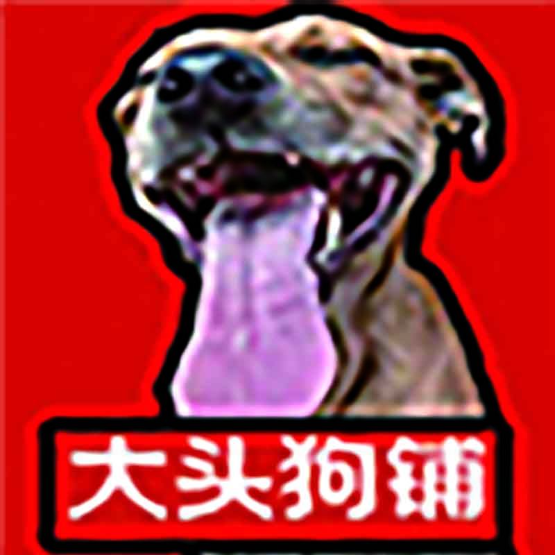 大头原创宠物