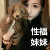 唯美纱装