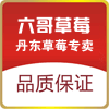 丹东6哥草莓的LOGO