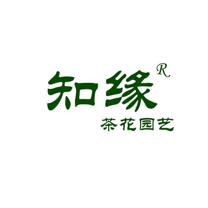 知缘茶花的LOGO