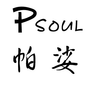 帕娑优品