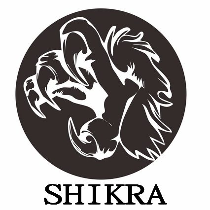 天下骑行的LOGO