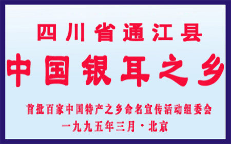 通江椴木野生银耳