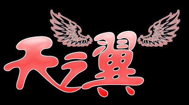 飞机模型--天之翼的LOGO