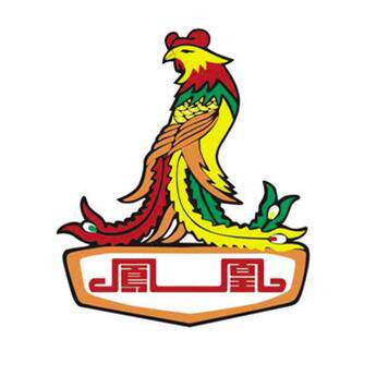 凤凰自行车企业店的LOGO