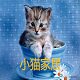 小猫家居馆的LOGO