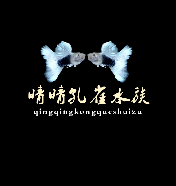 晴晴水族超市的LOGO