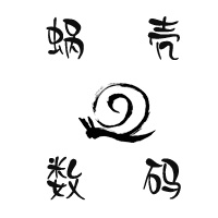 广东深圳服务器的LOGO