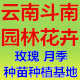 云南斗南园林花卉的LOGO