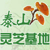 泰山灵芝基地的LOGO