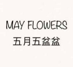 五月五盆盆的LOGO