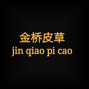 金桥皮草