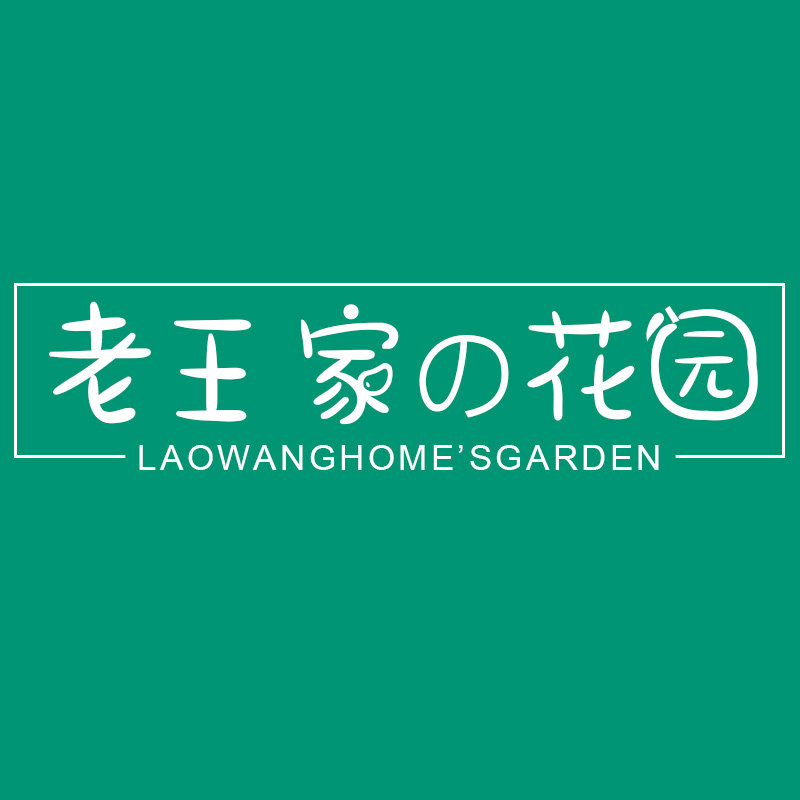 老王家的花园