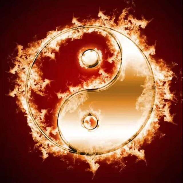 热艾一生天然艾制品的LOGO
