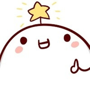 NO7小星星童鞋