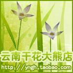 大熊干花