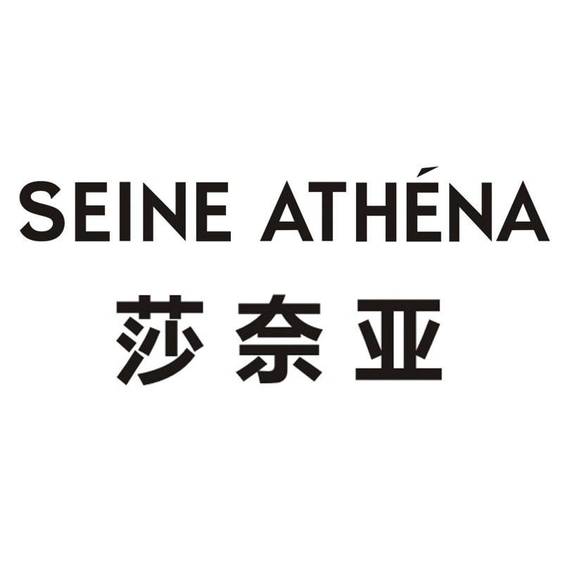 莎奈亚SA 轻欧美OL手袋
