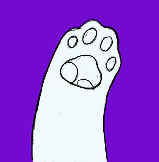 念念Cat