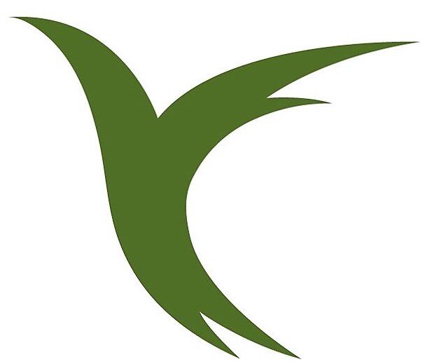 上海燕飞健康