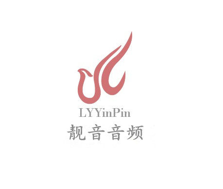 靓音音频专业电解电容
