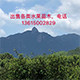 漳州水果花圃苗木场的LOGO