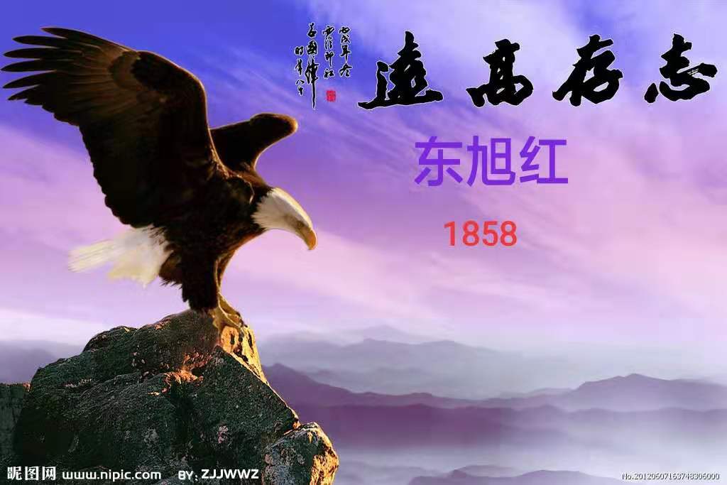 东旭红