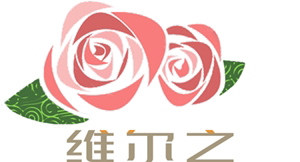 维尔之饰品