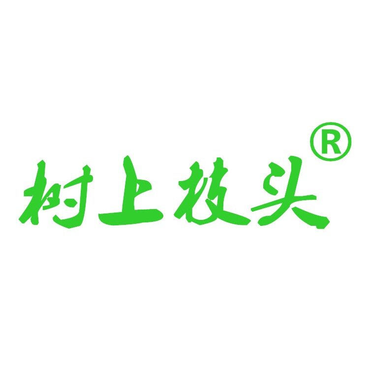 容县沙田柚直营店的LOGO