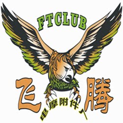 河南飞腾电摩附件厂的LOGO