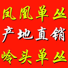 茗韵单丛茶潮州单枞茶直销店的LOGO