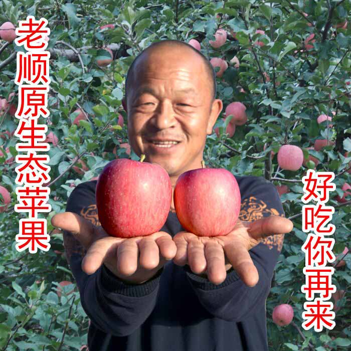 卖苹果的老顺