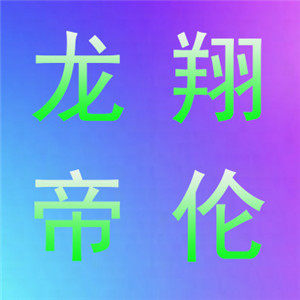 龙翔帝伦体育