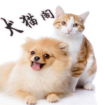 犬猫阁宠物用品店的LOGO