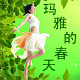 玛雅的春天的LOGO