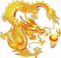 龍记全球购