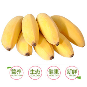 八桂香蕉水果园
