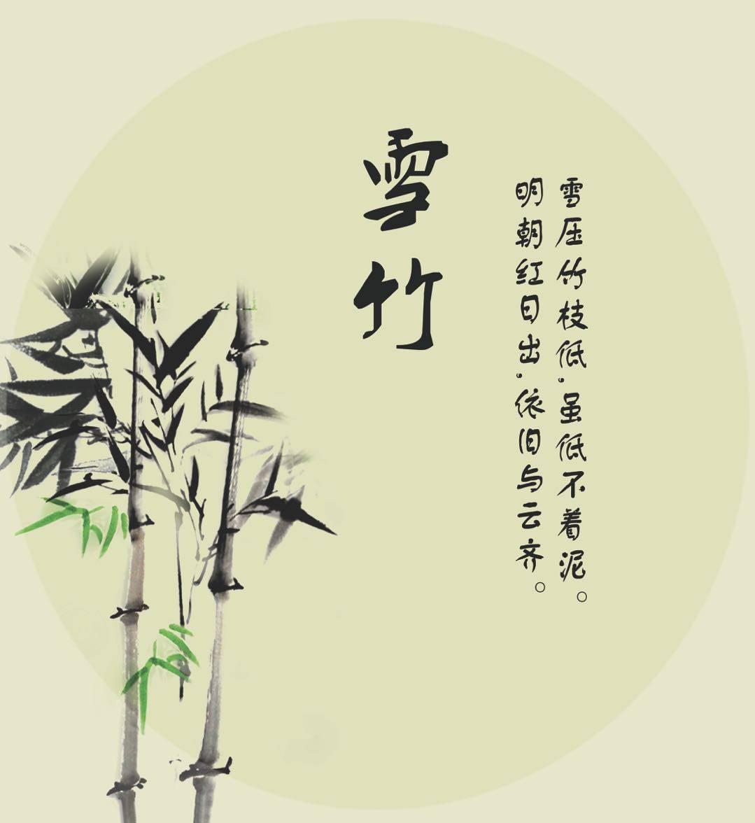 雪竹内衣直销网店