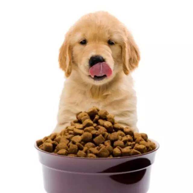 嘟嘟宠物食品用品的LOGO