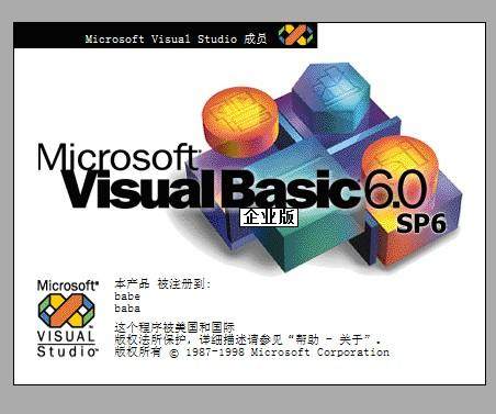VB管理系统设计的LOGO