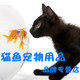 猫鱼宠物用品品牌店