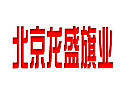 龙盛旗帜厂的LOGO