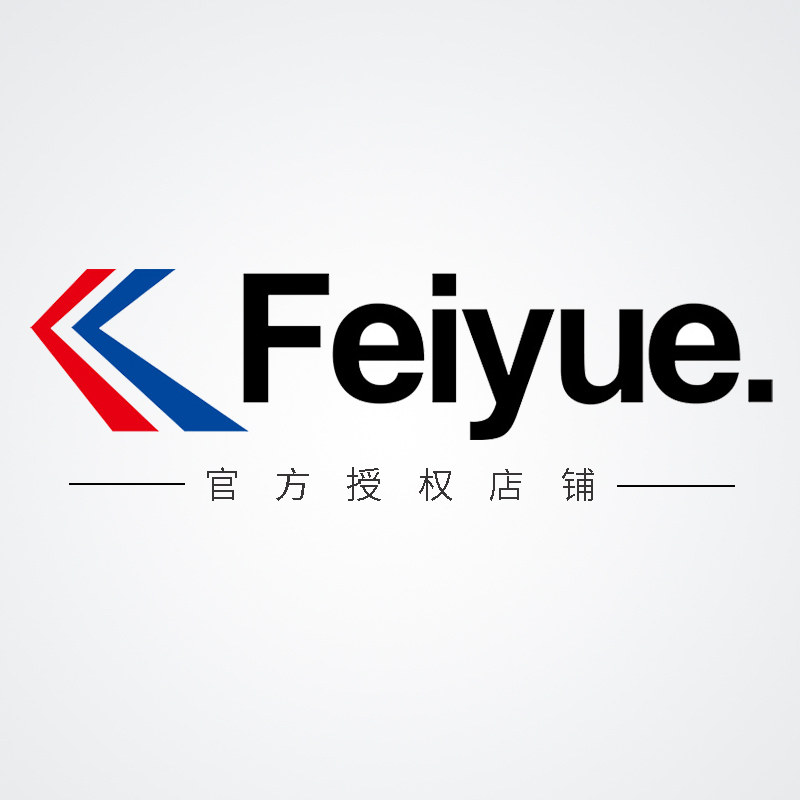 飞跃国货经典